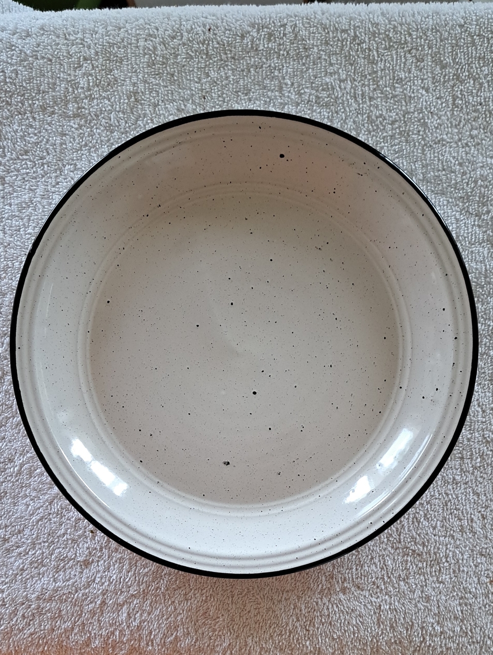 American Atelier Cream Speckled Dinner Plate with Black Rim